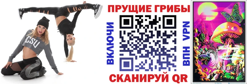 Псилоцибиновые грибы ЛСД  где можно купить   Лосино-Петровский 
